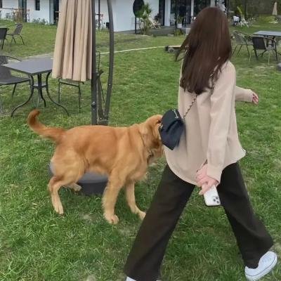 兰黛夫人