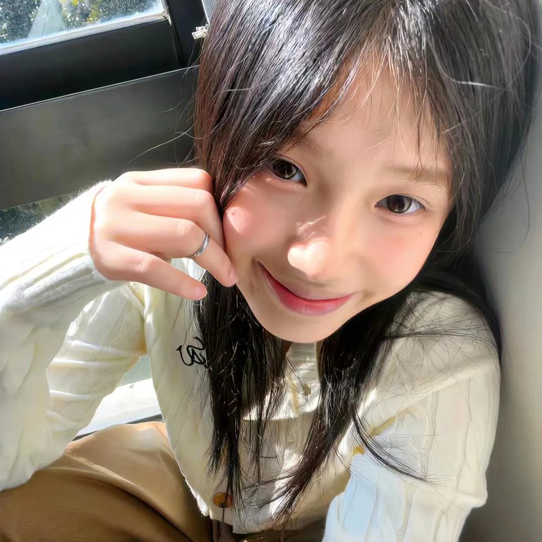如果德川家康成为总理大臣